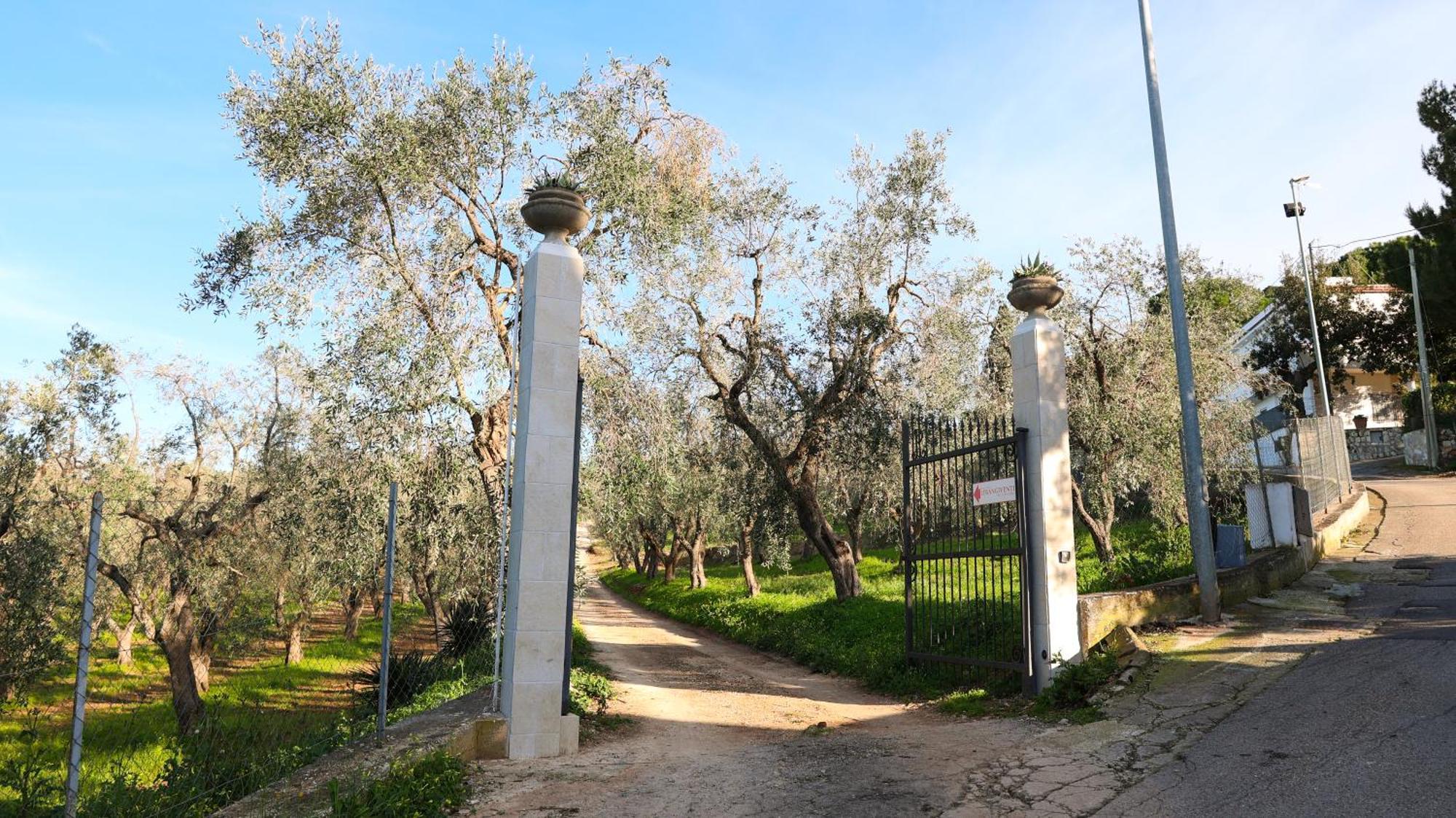 I Frangiventi Bed & Breakfast Rodi Garganico Exterior photo