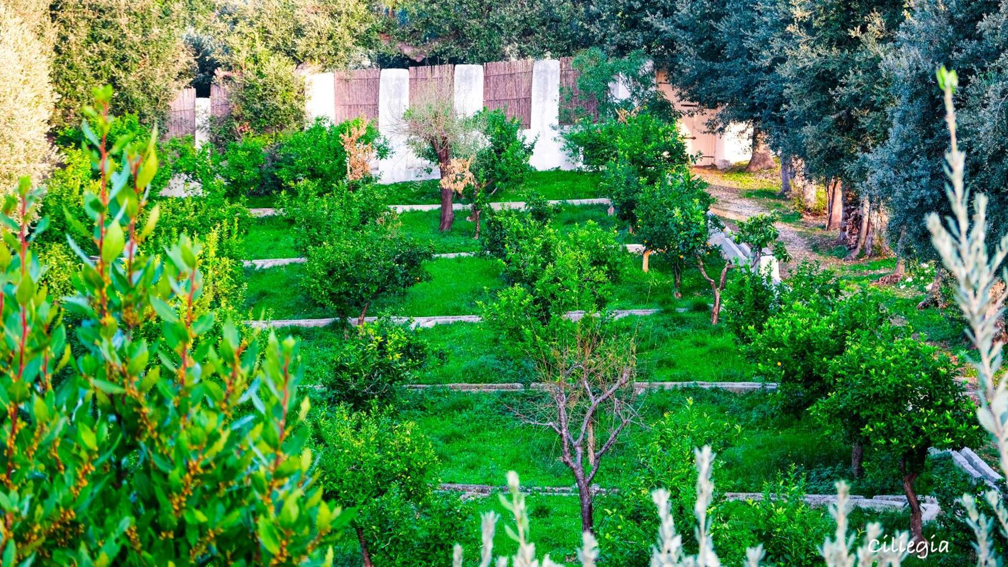I Frangiventi Bed & Breakfast Rodi Garganico Exterior photo