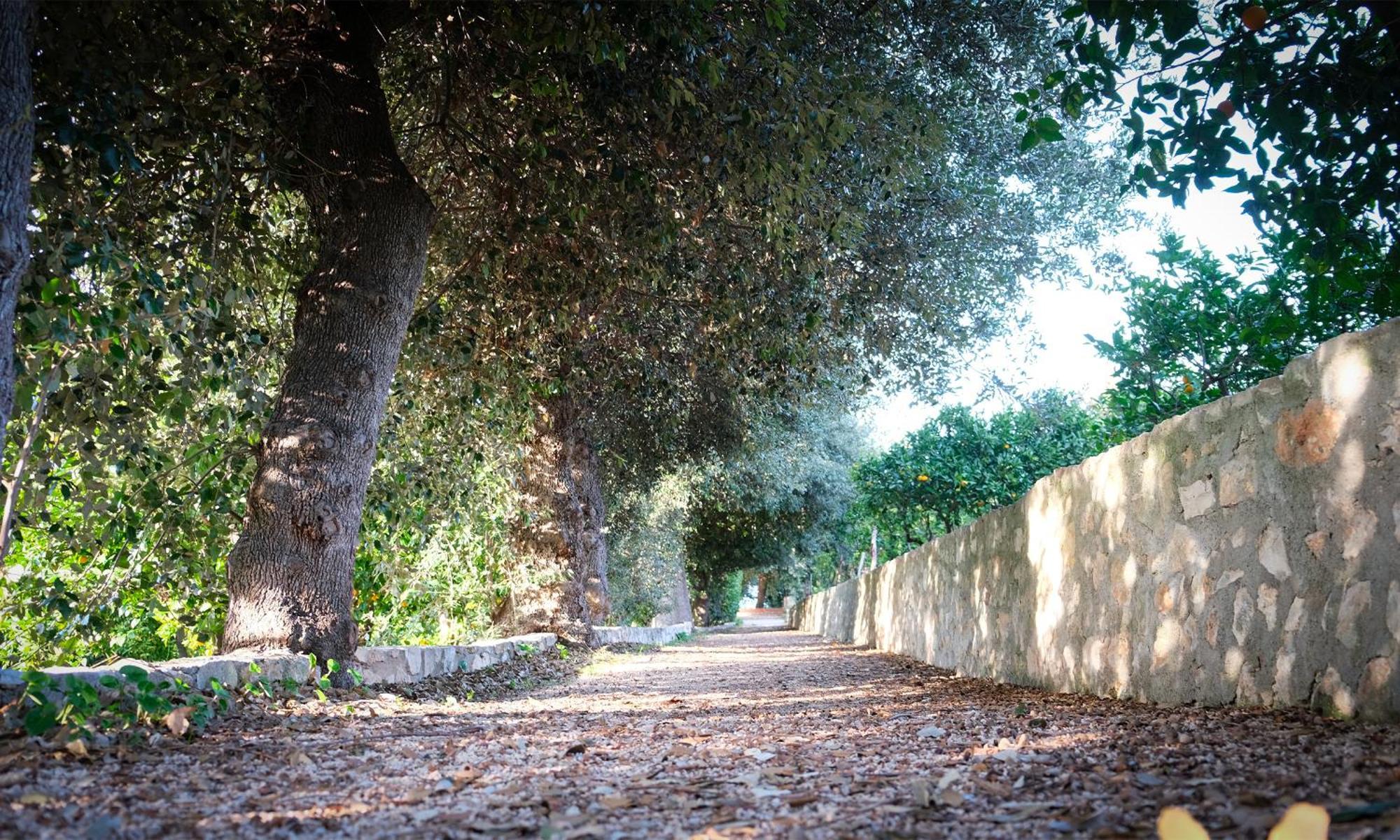I Frangiventi Bed & Breakfast Rodi Garganico Exterior photo